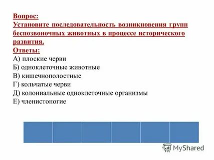 Установите последовательность появления жизни на земле