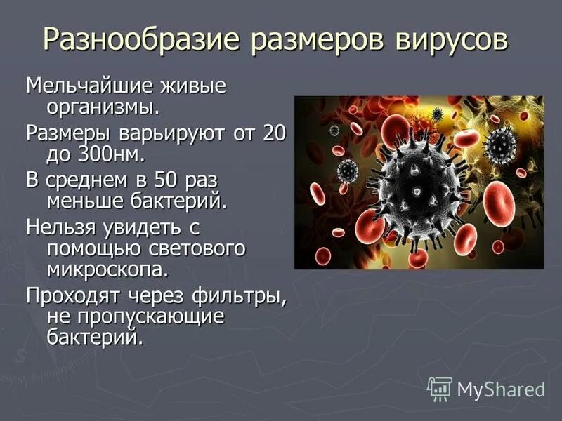 Многообразие вирусов 5 класс презентация