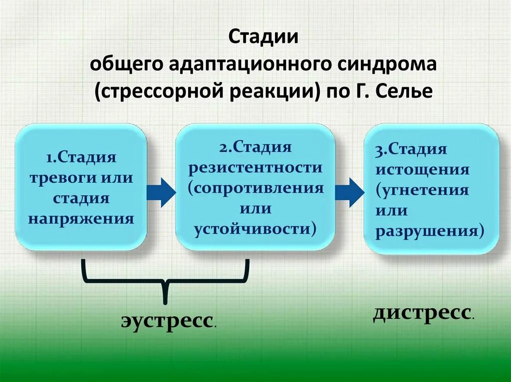 Стресс реакция адаптации. 3 Стадии общего адаптационного синдрома по г.Селье. Три стадии общего адаптационного синдрома. Стадий общего адаптационного синдрома (г. Селье). Фазы стадии тревоги общего адаптационного синдрома.