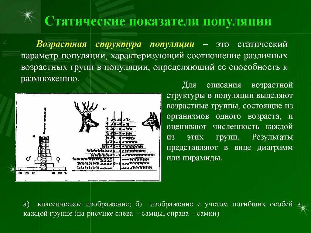 Возрастная структура популяции. Структура популяции это в экологии. Типы возрастной структуры популяций. Возрастная и пространственная структура популяции..