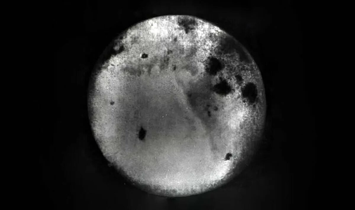 Обратная сторона Луны 1959. Обратная сторона Луны первый снимок 1959. Луна 3 снимки обратной стороны Луны. Снимок обратной стороны Луны 1959.