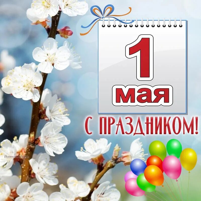 Картинки весны и труда 1 мая. 1 Мая праздник. 1 Мая праздник весны и труда. Поздравление с 1 мая. Открытка 1 мая праздник весны и труда.