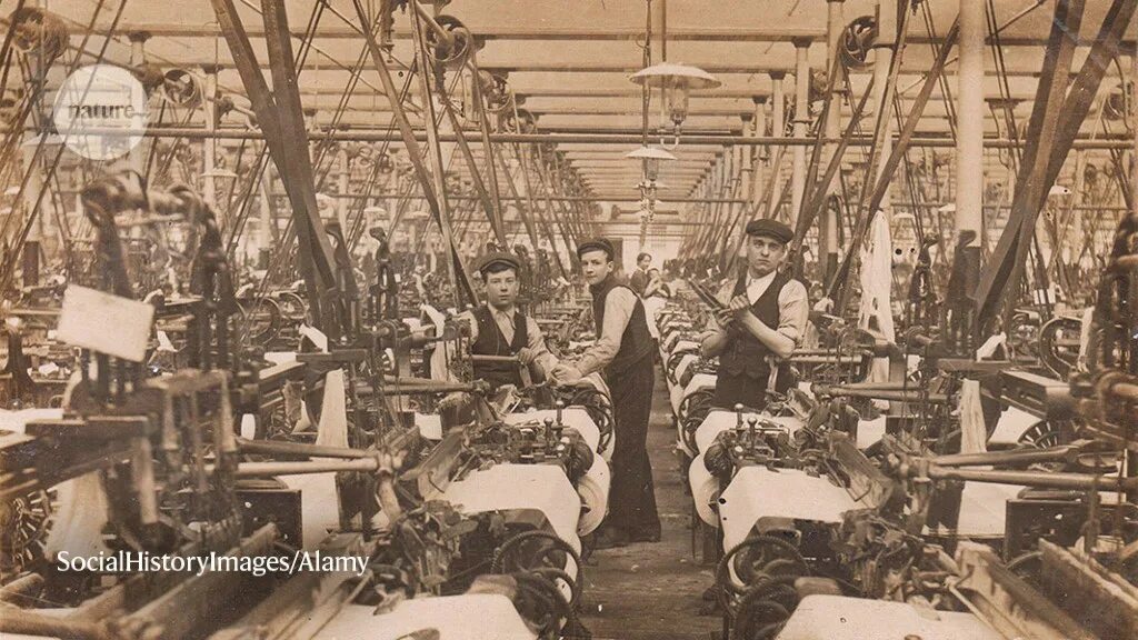 Best factory
