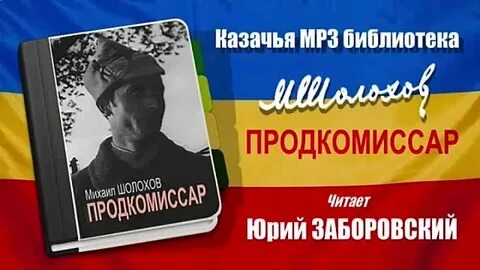 Продкомиссар шолохова кратко