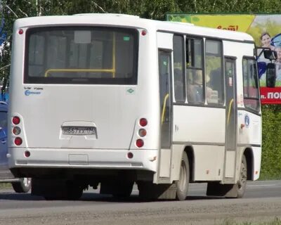 Паз 3203