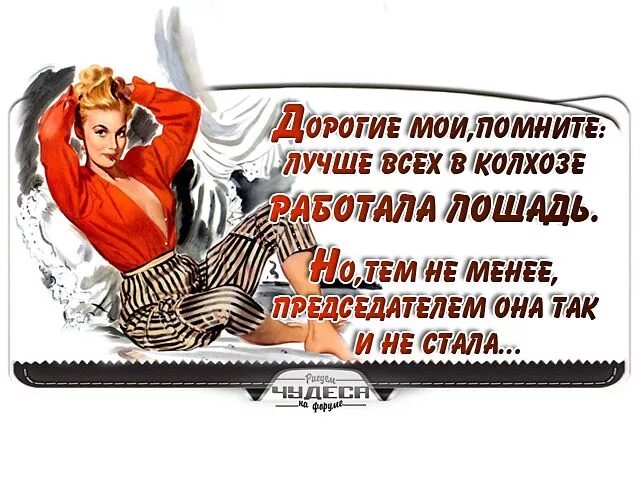 Лошадь работала но председателем. Лучше всех раьотатала лошадь. в колхозе работала лошадь. лучше всех в колхозе. но председателем колхоза так и не стала.
