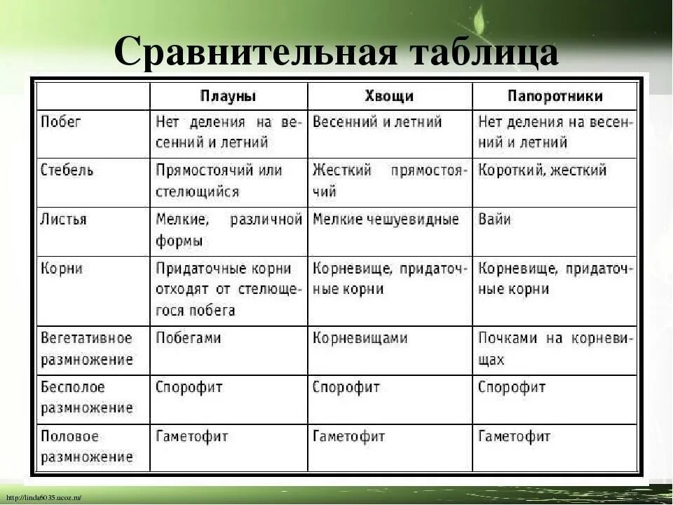 Сравнительная характеристика споровых растений таблица. Сравнительная характеристика папоротников хвощей и плаунов. Сравнение папоротников хвощей и плаунов таблица. Папаротник хвощи плуны характеристика. Тип споровые