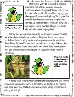Plant транскрипция