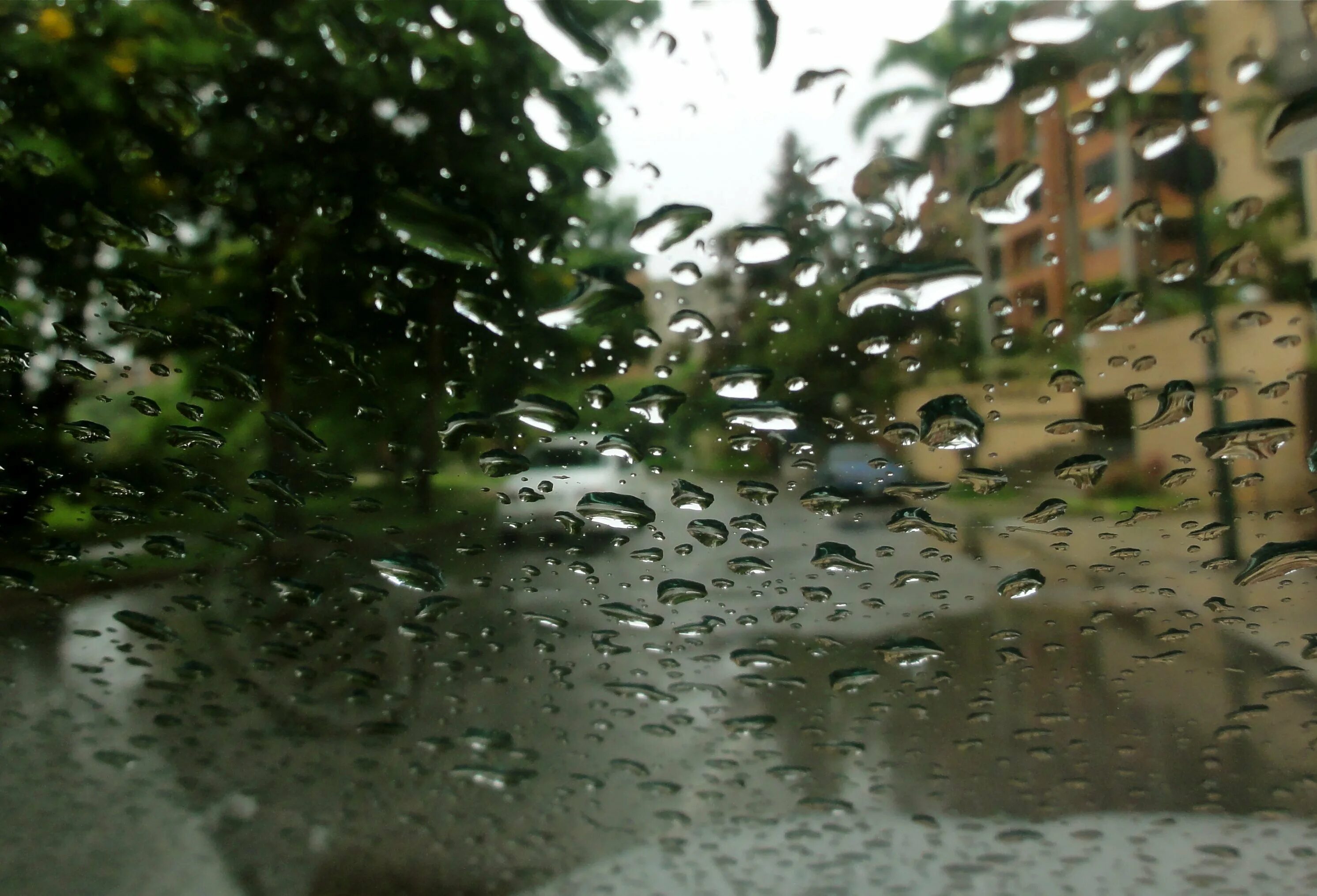 Мокрый дождь. Ливень. Капли дождя на окне. Картинки на рабочий стол дождь.