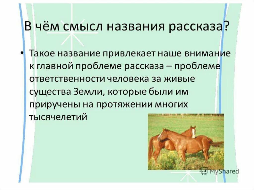 Рассказ о чем плачут лошади краткое содержание. О чём плачут лошади. Ф. Абрамова "о чём плачут лошади". О чем плачут лошади: рассказы. О чём плачут лошади о чем.