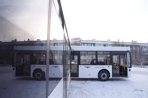Автобусы ревда на 2024 год