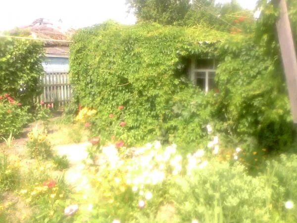 индекс ростов на дону дачная. ростов частный сектор. улица дачная ростов. почта россии ростов на дону. индекс ростов на дону дачная.