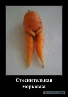 Ангелы не любят морковку