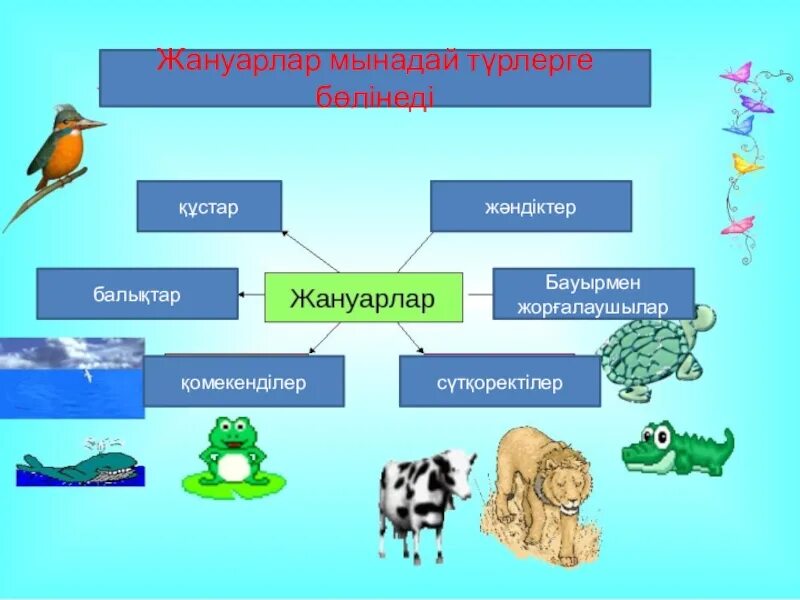 Құстар мен жәндіктер. Жануарлар дүниесі презентация. Жануарлар алеми презентация. Зоология презентация. Жаратылыстану для презентация.