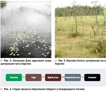 Характерна заболоченность