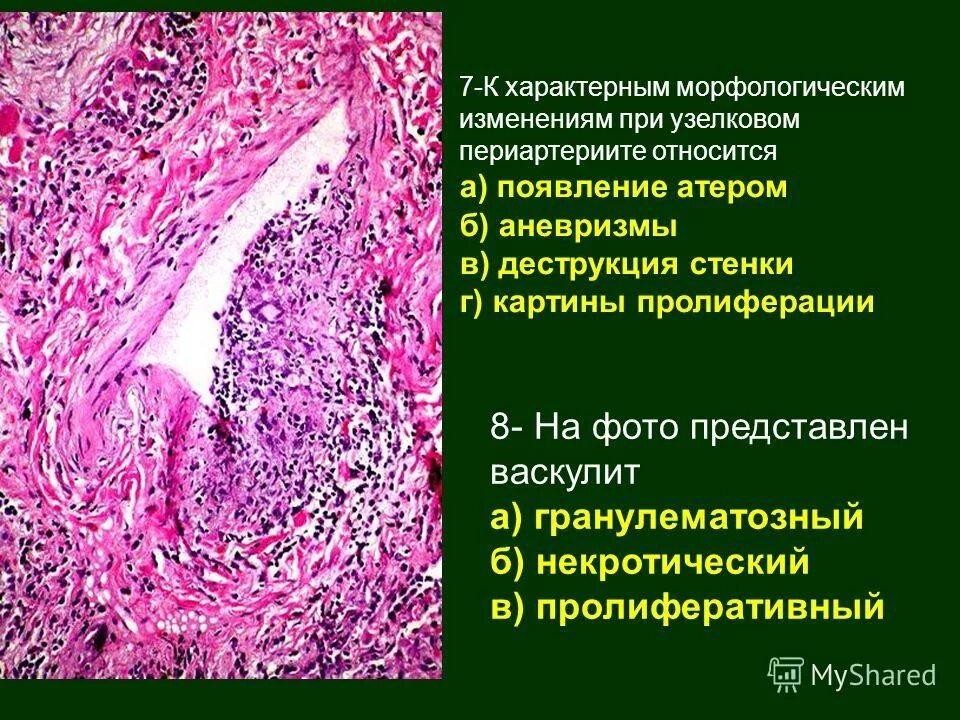 характерным морфологическим. морфологические особенности официально-делового стиля речи. характерным морфологическим. морфологические особенности научной речи. характерным морфологическим.