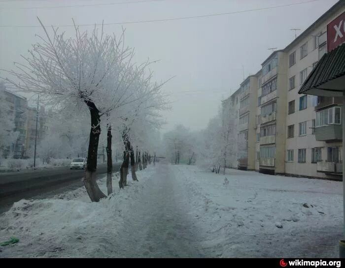михайловка 6. михайловка 6. михайловка 6. краеведческий музей михайловка волгоградская область. михайловка сливовая 4.