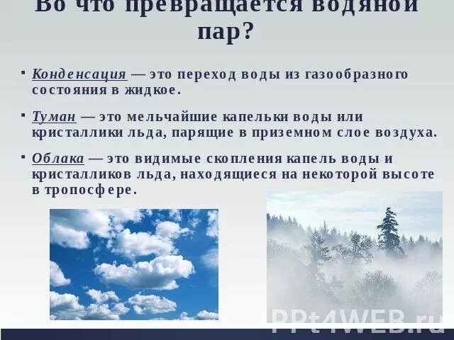 Осадки в приземном слое. Водяной пар. Как образуется водяной пар. Что такое водяной пар определение. Водяной пар в воздухе.