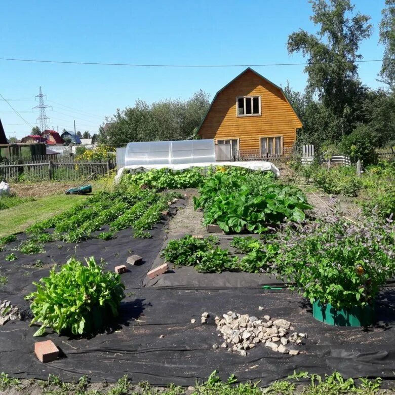 Купить сад пенза