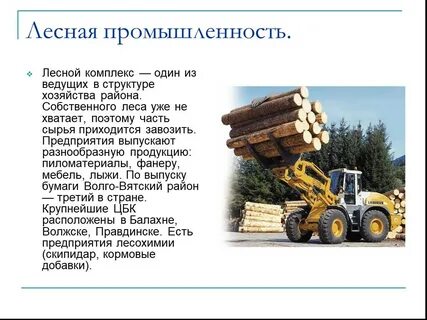 Какую продукцию выпускает лесная промышленность