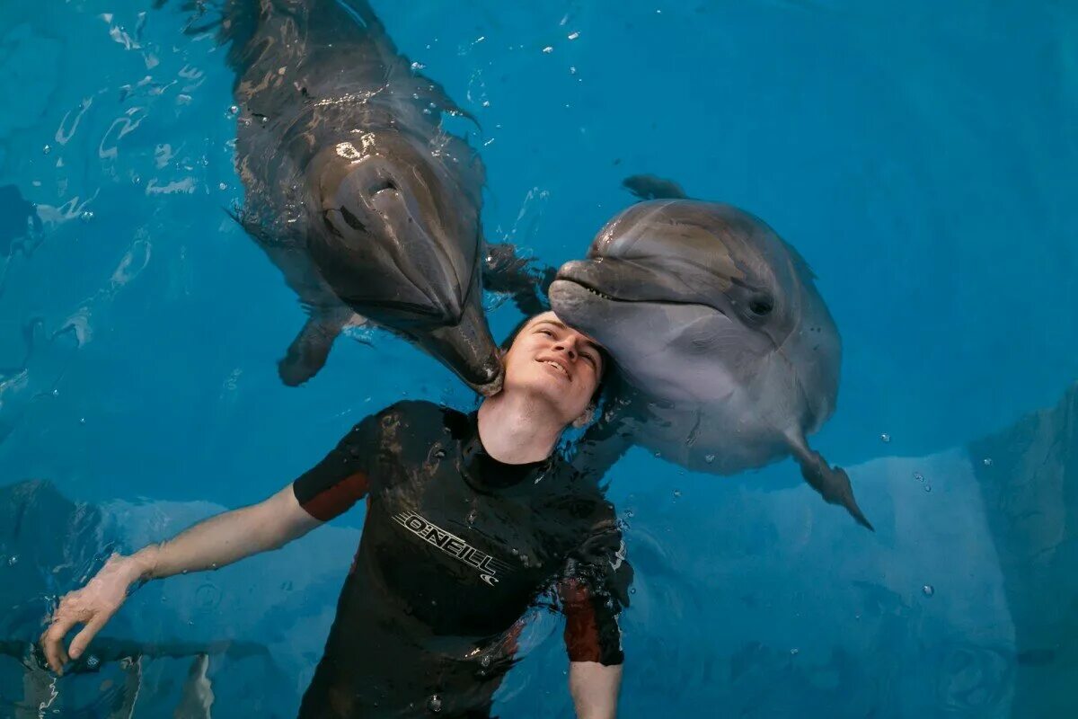 Есть ли дельфин людей. Дельфинарий Анапа. Дельфинотерапия в Анапе. Дельфинотерапия при ДЦП.