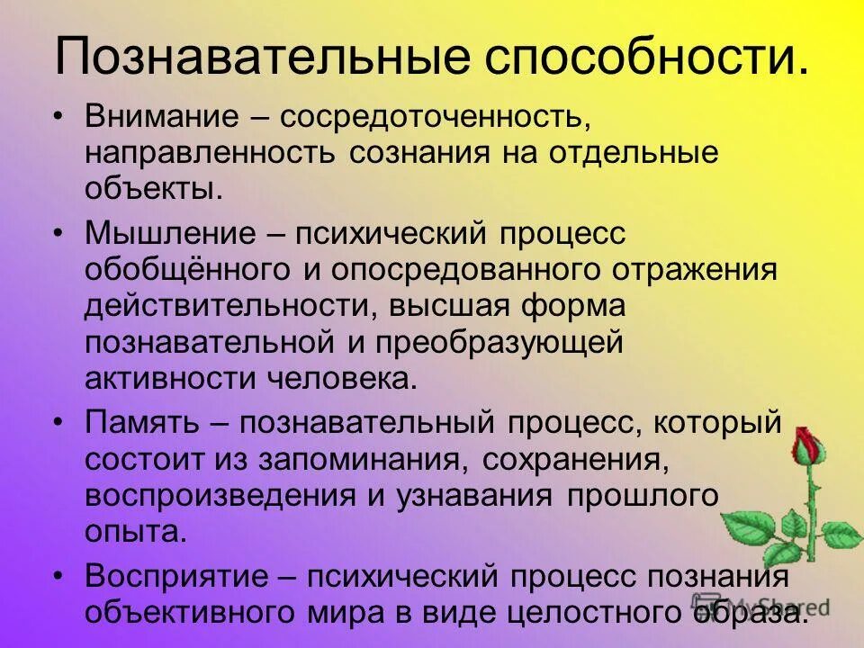 особенности понятия младшего возраста