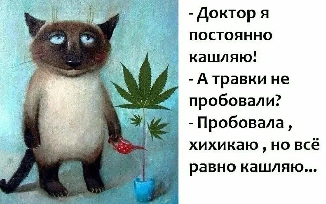 Постоя н нн о. Доктор я постоянно кашляю. Кашель юмор. Кашель картинки смешные. Не кашляй.