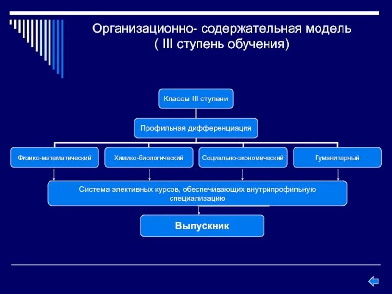 Уровни профильного обучения. Содержательная модель. Ступени образования схема. Организационно-содержательная модель это. Макет ступени образования.