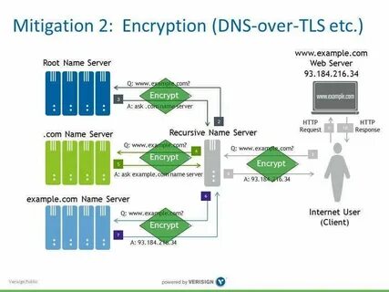 Dns resolve roblox