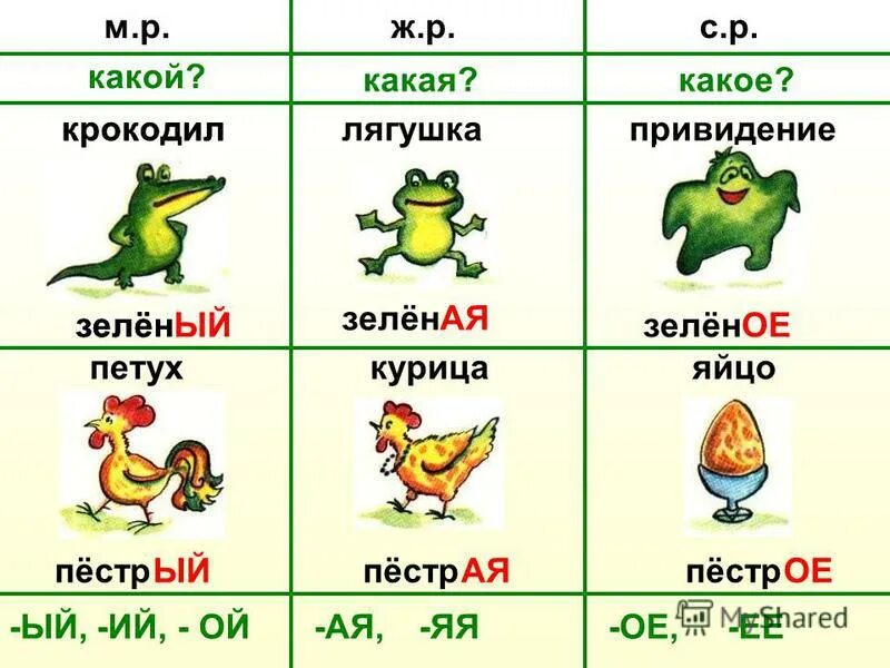 Английские слова лягушка. Лягушка какая прилагательные. Петух и лягушка. Лягушка какая прилагательные для детей. Лягушки-привидения.