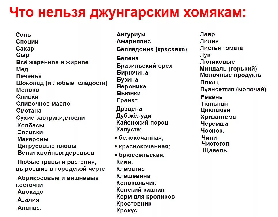 Что можно давать хомякам из еды. Что нельзя есть хомякам джунгарикам список продуктов. Чем нельзя кормить хомяка джунгарика. Чем кормить джунгарского хомяка список продуктов. Какие овощи можно давать хомякам джунгарикам.