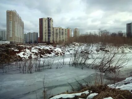 Пруд на месте