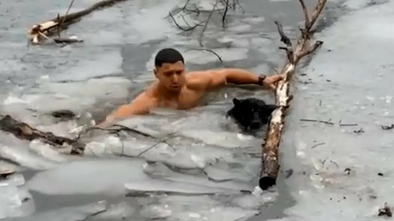 Парень спас собаку из ледяной воды. Парень спасает собаку из ледяной воды. Мужчина спас щенка из проруби.