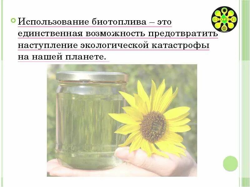 Регион перспективы использования биотоплива. Биотопливо презентация. использование биотоплива. биотопливо примеры. биотопливо третьего поколения.