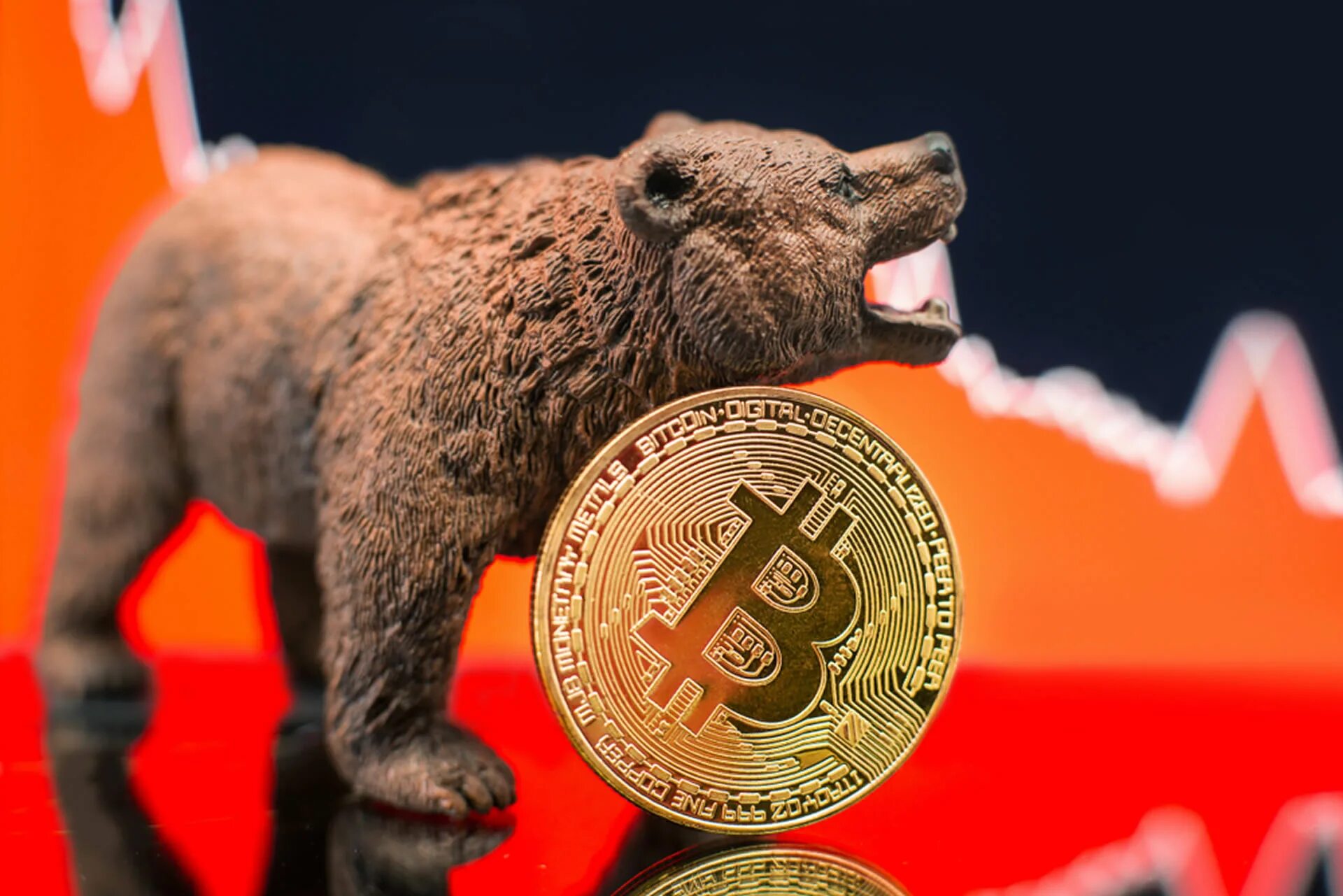Bear market. Медведь рынок. Bear market. Bear market. Медвежий рынок.