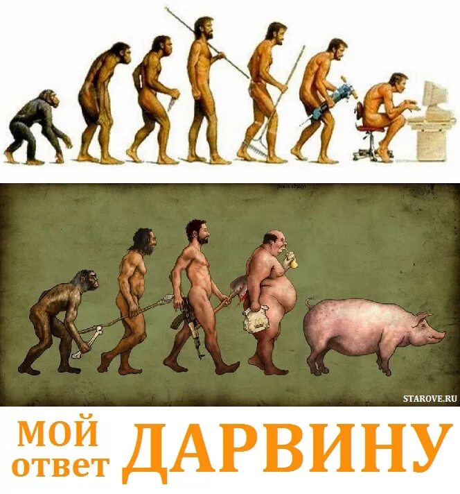 Эволюционирует ли человек