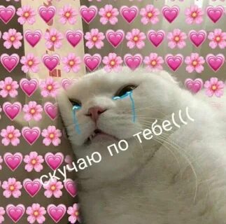 Милый не скучай инстасамка