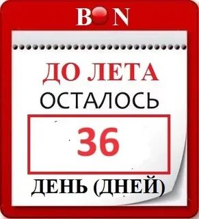 До нового 2025 года осталось