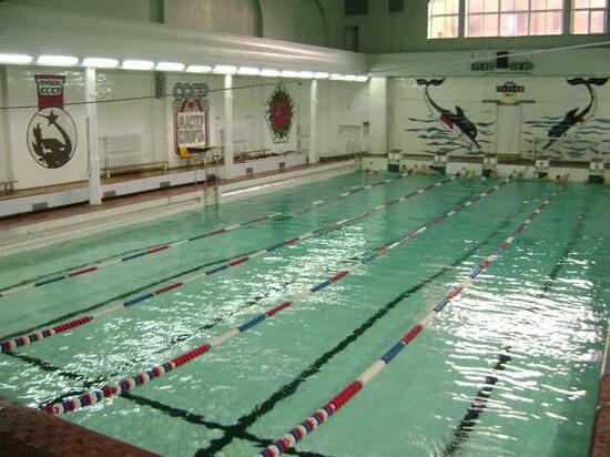 Ул. Бассейн юность петербург. Бассейн юность петербург. Бассейн юность спб. Бассейн юность омск лизы чайкиной.