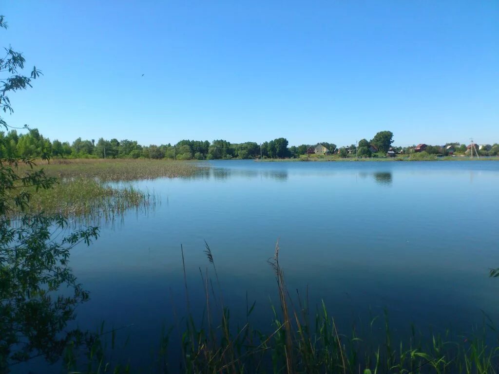 Озеро кривое в криводановке. Токсово озеро кривое озеро. Фото кривого озера. Озеро кривое челябинская. Озеро кривое мурманская область.