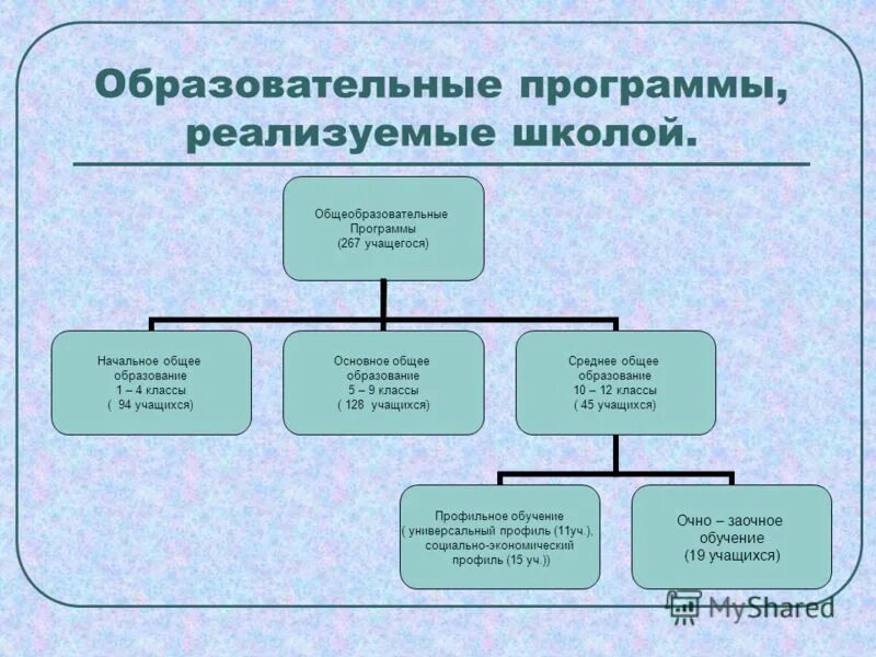 Образовательная программа. Основные образовательные программы в школе. Учебная программа. Авторская рабочая программа. Образовательные программы в школе.