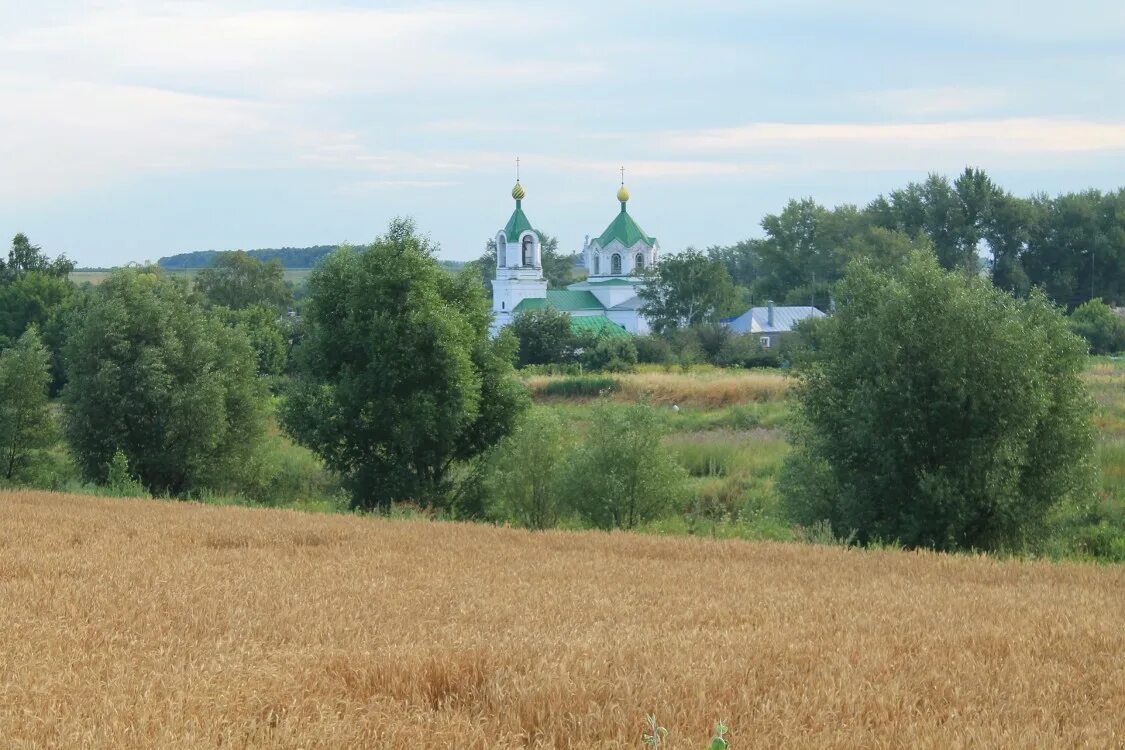 Нижняя катуховка воронежская область. Нижняя катуховка воронежская область. Нижняя катуховка воронеж. Нижняя катуховка воронеж. Храм в верхней хаве.
