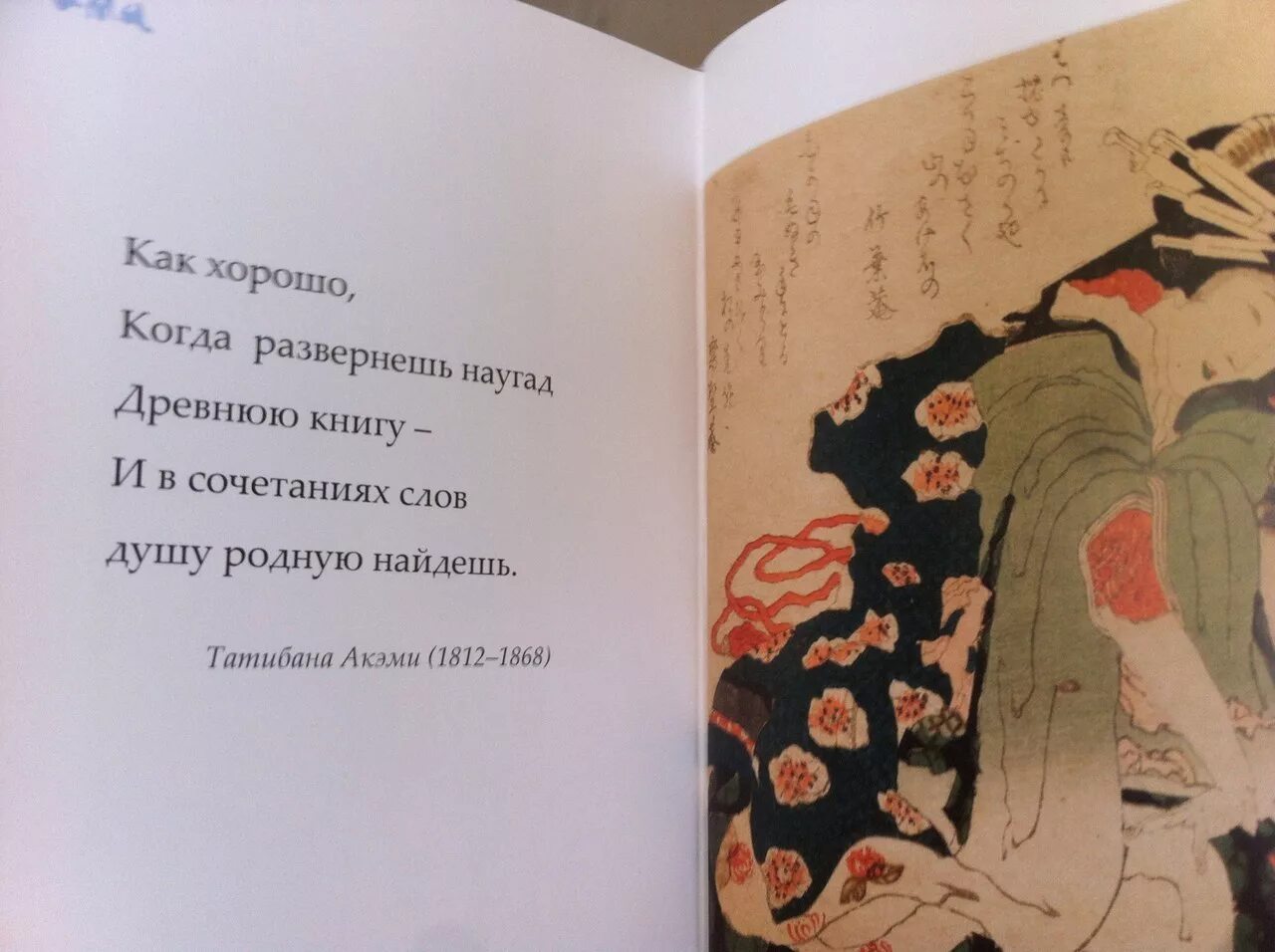 Популярные цитаты из книг. Татибана акэми. цитаты из книг. интересные фразы из книг. цитаты про книги.