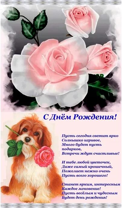 Поздравляем с днем рождения пусть. Поздравления с днём рождения ларисе. поздравления с юбилеем ларисе красивые. поздравления с днём рождения анечке.