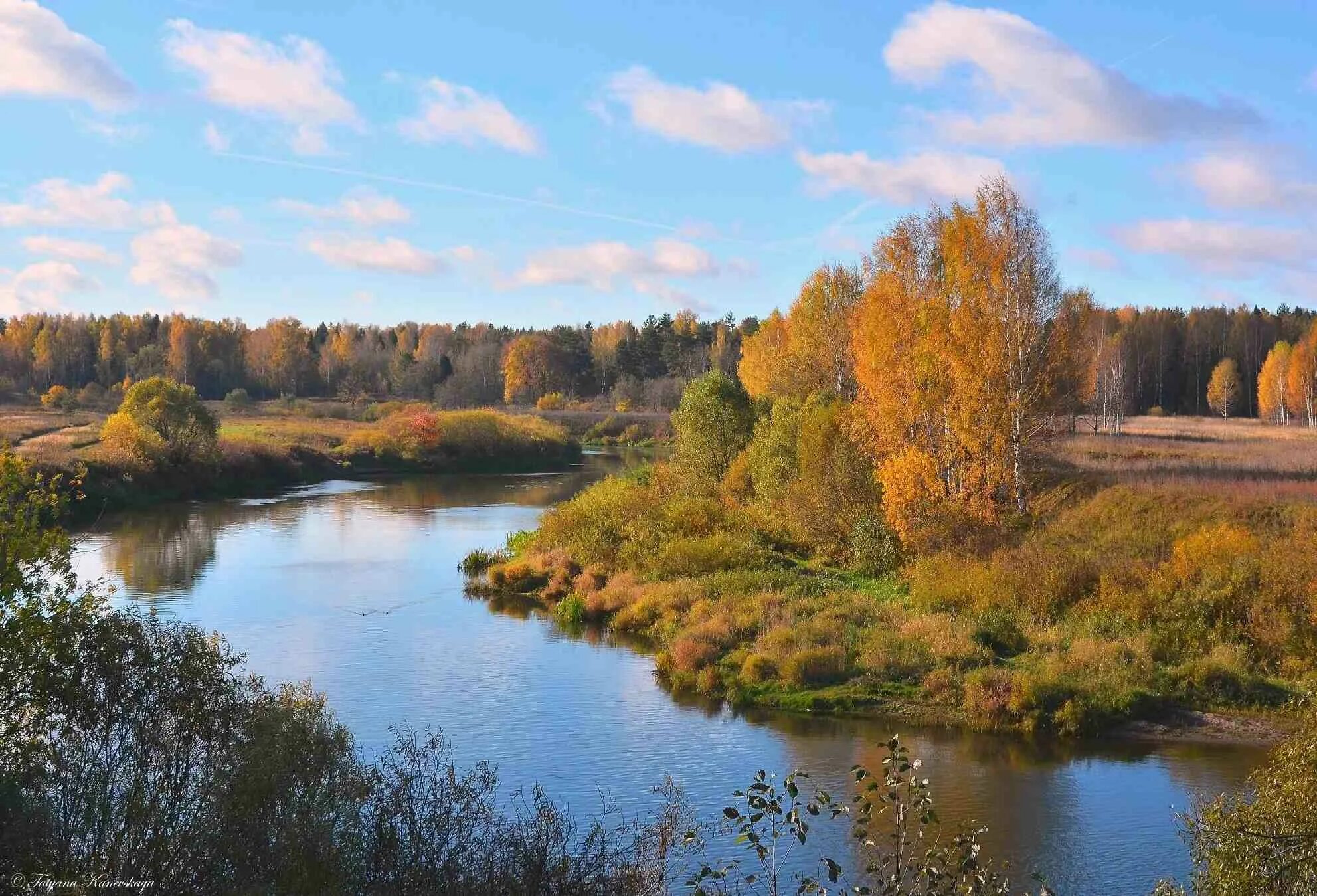 Реки ярославского края. Река Которосль Ярославская область. Река Которосль Ярославль. Ярославская область Ярославль река Которосль. Река Которосль Гаврилов ям.