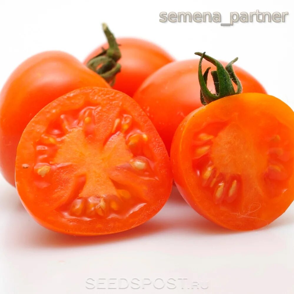 Томат черри земледелец f1 оранжевый. Томат черри земледелец. Томат оранжевый земледелец f1. Томат черри земледелец f1 оранжевый. Оранжевый земледелец томат партнер.