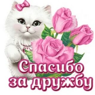 Спасибо ты лучшая
