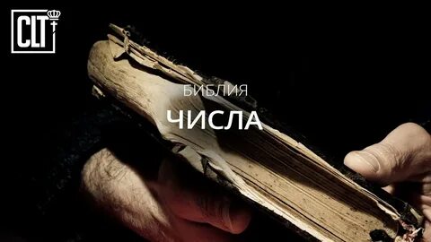 Библия числа
