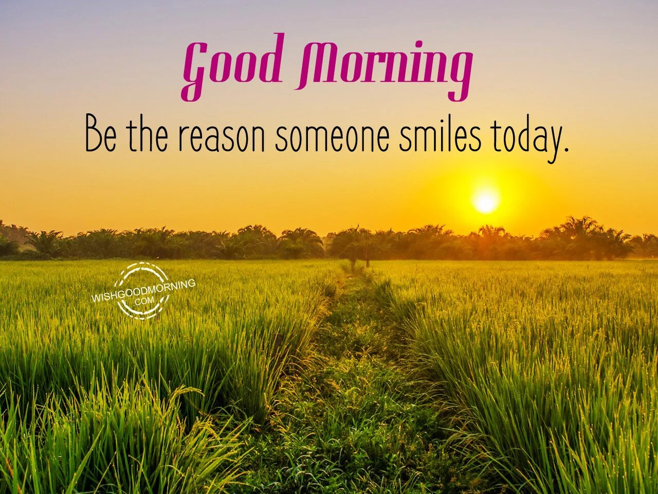 Best morning is today. Восход над полем. Закат в поле. Луг на рассвете. Солнечное небо.