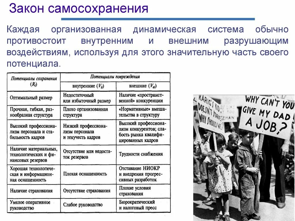 Реализация закона в жизнь. Закон самосохранения. принципы закона самосохранения. закон самосохранения пример. закон самосохранения в теории организации.
